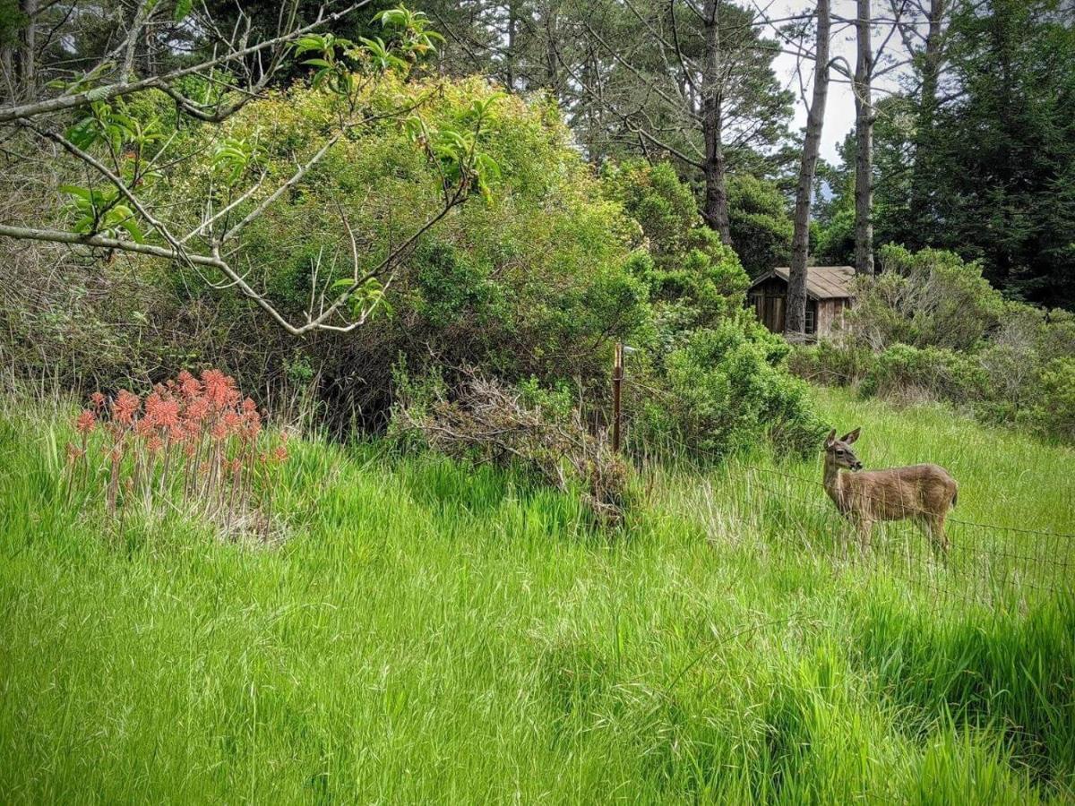 The Quail'S Nest Retreat Point Reyes Station Exterior foto